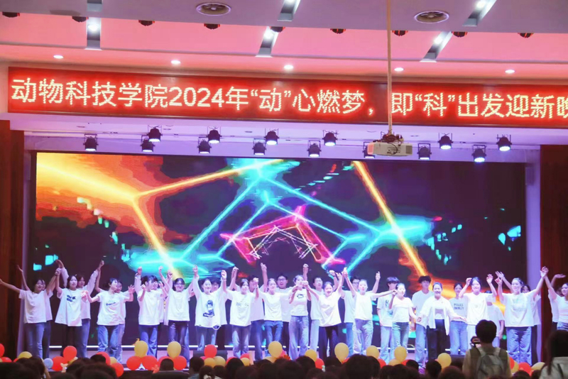 dbd369056673cb5a1ff414d6513e477.jpg